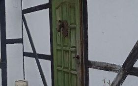 Agroturystyka Stajnia Dorado Pokoje Gościnne i Apartamenty
